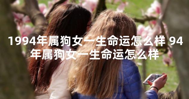 1994年属狗女一生命运怎么样 94年属狗女一生命运怎么